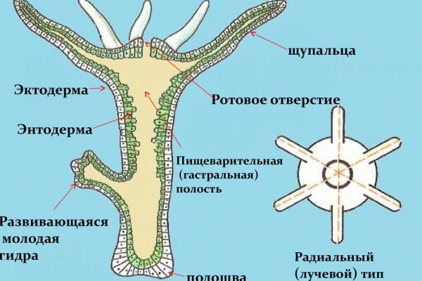 Через какой браузер заходить на кракен