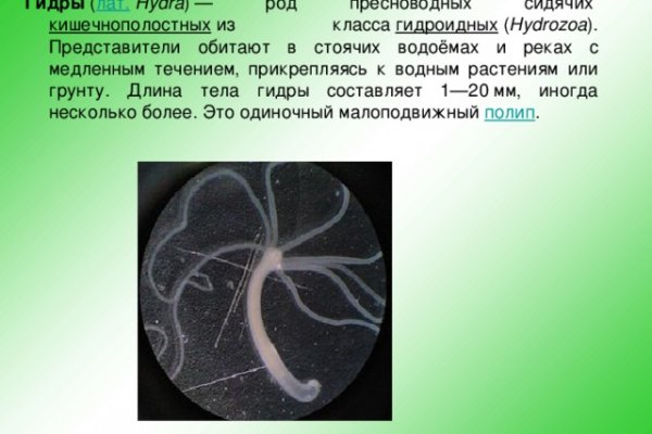 Kraken onion вход